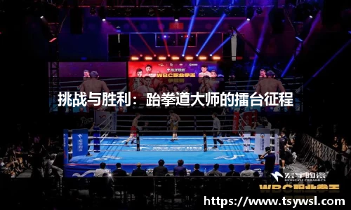 挑战与胜利：跆拳道大师的擂台征程